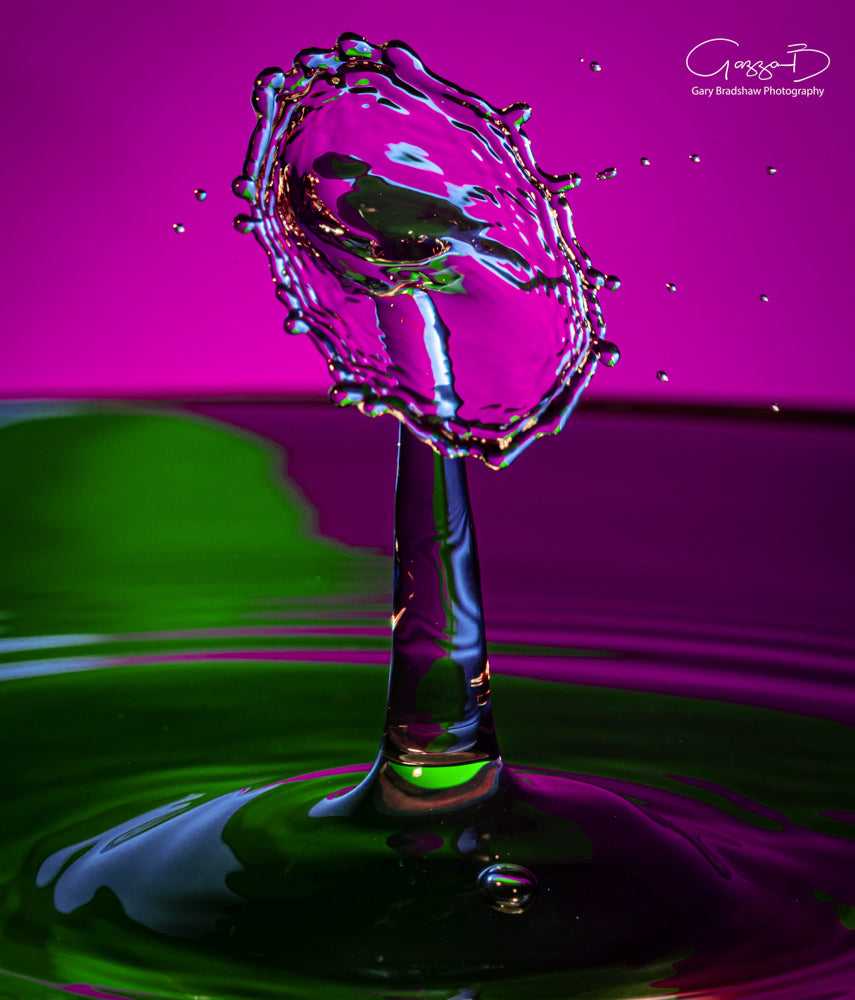 Water Drops Colliding - Pinks n Purple 1