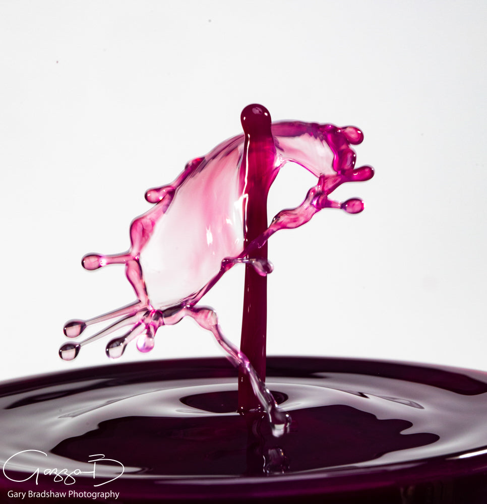 Water Drops Colliding - Purple