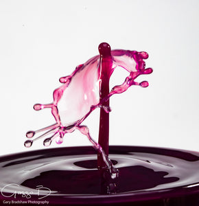 Water Drops Colliding - Purple