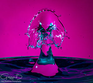 Water Drops Colliding - Pinks n Purple 2