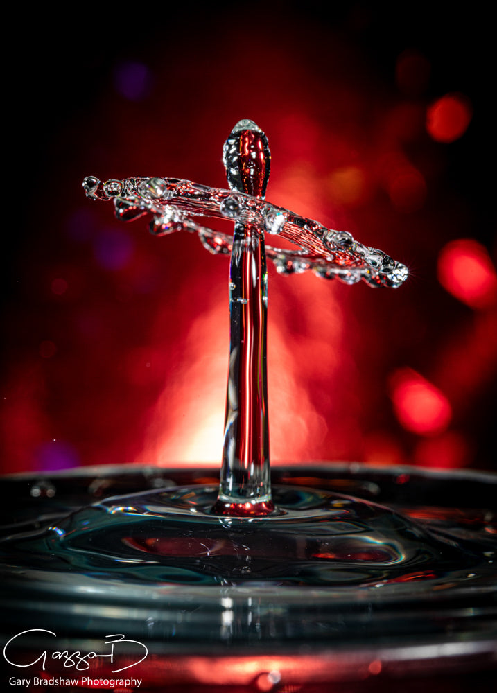 Water Drops Colliding - Reds 9